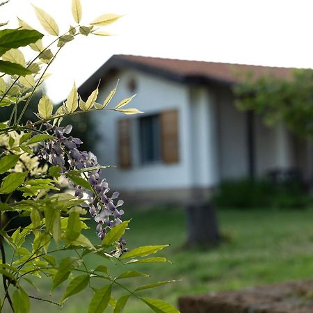B&B La Figuretta Iesi Ngoại thất bức ảnh
